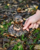 Scale Of The Copper Cast Aluminium Peeking Meerkat Garden Sculpture