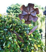 Rustic Cosmos Metal Garden Flower Support Rustic Cosmos Metal Garden Flower Support