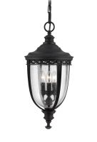 "Winsford" Countryside Black Hanging Light