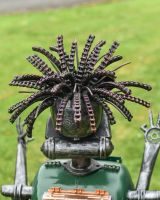 Close up of Crazy Robot Hair