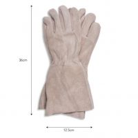 Cream Suede Gardening & Fireside Gloves Measurements Cream Suede Gardening & Fireside Gloves Measurements