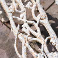 Close up of Antique Cream Tree Branch Bench detailing