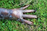 Mara River Crocodile Wrought Iron Garden Sculpture Mara River Crocodile Wrought Iron Garden Sculpture