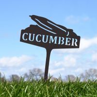 "Cucumber" Vegetable Label in Situ