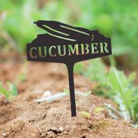 "Cucumber" Vegetable Label in Situ Outdoors