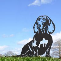 Dachshund Silhouette in Situ in a Field Dachshund Silhouette in Situ in a Field
