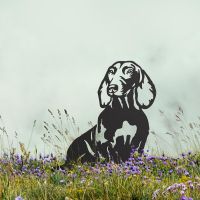 Dachshund Silhouette on Display in the Flowers Dachshund Silhouette on Display in the Flowers