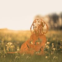 Dachshund Silhouette in Situ in a Field Dachshund Silhouette in Situ in a Field
