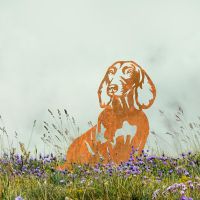 Dachshund Silhouette on Display in the Flowers Dachshund Silhouette on Display in the Flowers