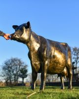 Scale image of Bronze "Daisy" Standing Cow Sculpture