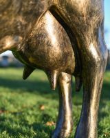 Close up of Bronze "Daisy" Standing Cow Sculpture udder
