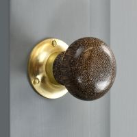 Leopard Print door knob with brass back plate on grey door