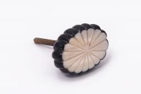 Shell Design Cabinet Knob Shell Design Cabinet Knob