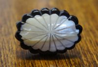 Shell Design Cabinet Knob Shell Design Cabinet Knob