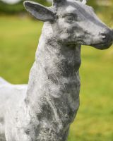 "Zekin" Lead Finished Cast Iron Stag Sculpture - Facing Forward Details "Zekin" Lead Finished Cast Iron Stag Sculpture - Facing Forward Details