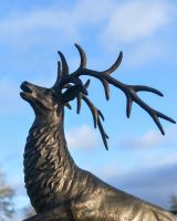 Close-Up of Forward Looking Deluxe Antique Bronze "Goliath" Stag Garden Sculpture Close-Up of Forward Looking Deluxe Antique Bronze "Goliath" Stag Garden Sculpture