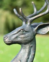 Close-Up of Deluxe Cast Aluminium Freestanding "Roscoe" Buck Garden Sculpture