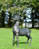 Deluxe Cast Aluminium Freestanding "Roscoe" Buck Garden Sculpture in Situ