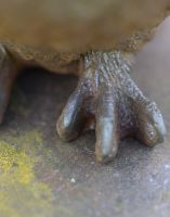 Cast Iron Steampunk Owl Garden Statue