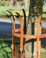 Close Up Of The Rustic finish On The Wrought Iron Beeston Tree Guard Close Up Of The Rustic finish On The Wrought Iron Beeston Tree Guard