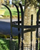 Close Up Of The Beeston Tree Guard In Black