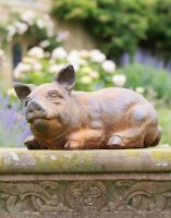 Digital illustration of a Rustic Cast Iron "Resting Pig" Garden Sculpture in a rose garden