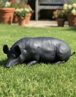 Digital illustration of a Black Cast Iron Laying Pig on a sunny garden lawn in front of plant pots Digital illustration of a Black Cast Iron Laying Pig on a sunny garden lawn in front of plant pots