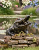 Digital Illustration of Black & Gold Crocodile Sculpture Crawling Out of a Pond with Lily Pads