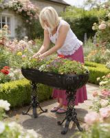 Digital illustration of the Black "Highgate" Free Standing Trough Planter in Situ in a Flowery Garden