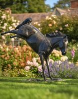 Digital illustration of Bronze Cast Aluminium Bucking Horse Garden Sculpture in front of a garden Digital illustration of Bronze Cast Aluminium Bucking Horse Garden Sculpture in front of a garden