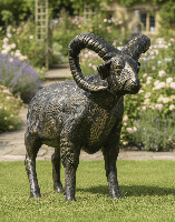 Digital Illustration of Brushed Black and Gold "Barley" Standing Ram Sculpture in a Sunny Rustic Garden