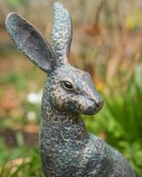 Digital illustration of ‘Hark’ Cast Aluminium Hare Garden Sculpture - Verdigris close up of head Digital illustration of ‘Hark’ Cast Aluminium Hare Garden Sculpture - Verdigris close up of head