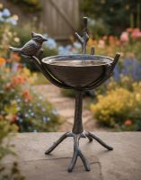 Digital Illustration of Rustic "Bird Sitting On Branch" Bird Bath & Feeder on a Garden Pathway