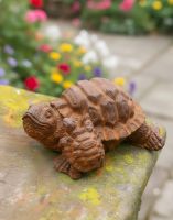 Digital illustration of Rustic Cast Iron "Parent & Hatchling" Tortoise Garden Sculpture in a garden Digital illustration of Rustic Cast Iron "Parent & Hatchling" Tortoise Garden Sculpture in a garden