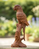 Digital illustration of Rustic Cast Iron "Parrot On Branch" Garden Sculpture in sunny garden