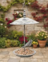 Digital Illustration of Rustic Cream Chain Hanging Bird Feeder Suspended in Flowery Walled Garden