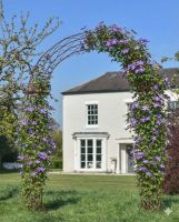 Digital Illustration of the "Alauna" Rustic Rose Arch with Flowers
