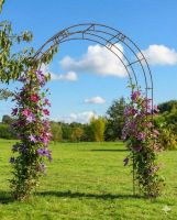 Digital Illustration of the Traditional "Mulberry" Rose Arch with Flowers