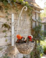 "Turenne" Rustic Cream Hanging Basket Bracket on cottage wall
