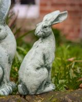 Digital illustration of Verdant Watchers Pair of Sitting Rabbit Garden Sculpture Cast Aluminium close up of hare with ears down