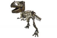 Dino roar T-Rex Jurassic Park