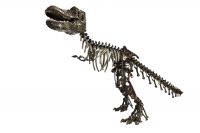 life size dinosaur statue