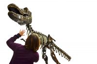 scale view metal dinosaur sculpture