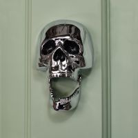 Bright Chrome Skull Door Knocker on pale green door