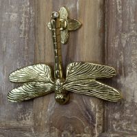 Dragon fly door knocker mounted on brown door