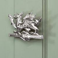 Bright Chrome Dragon door knocker on green door
