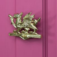 Polished Brass Dragon Door Knocker Polished Brass Dragon Door Knocker