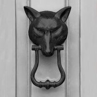 Black Fox head door knocker on Grey door