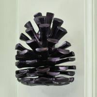 Black pine cone door knocker on pastel green door