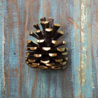 Solid Brass Pine Cone Door Knocker Solid Brass Pine Cone Door Knocker